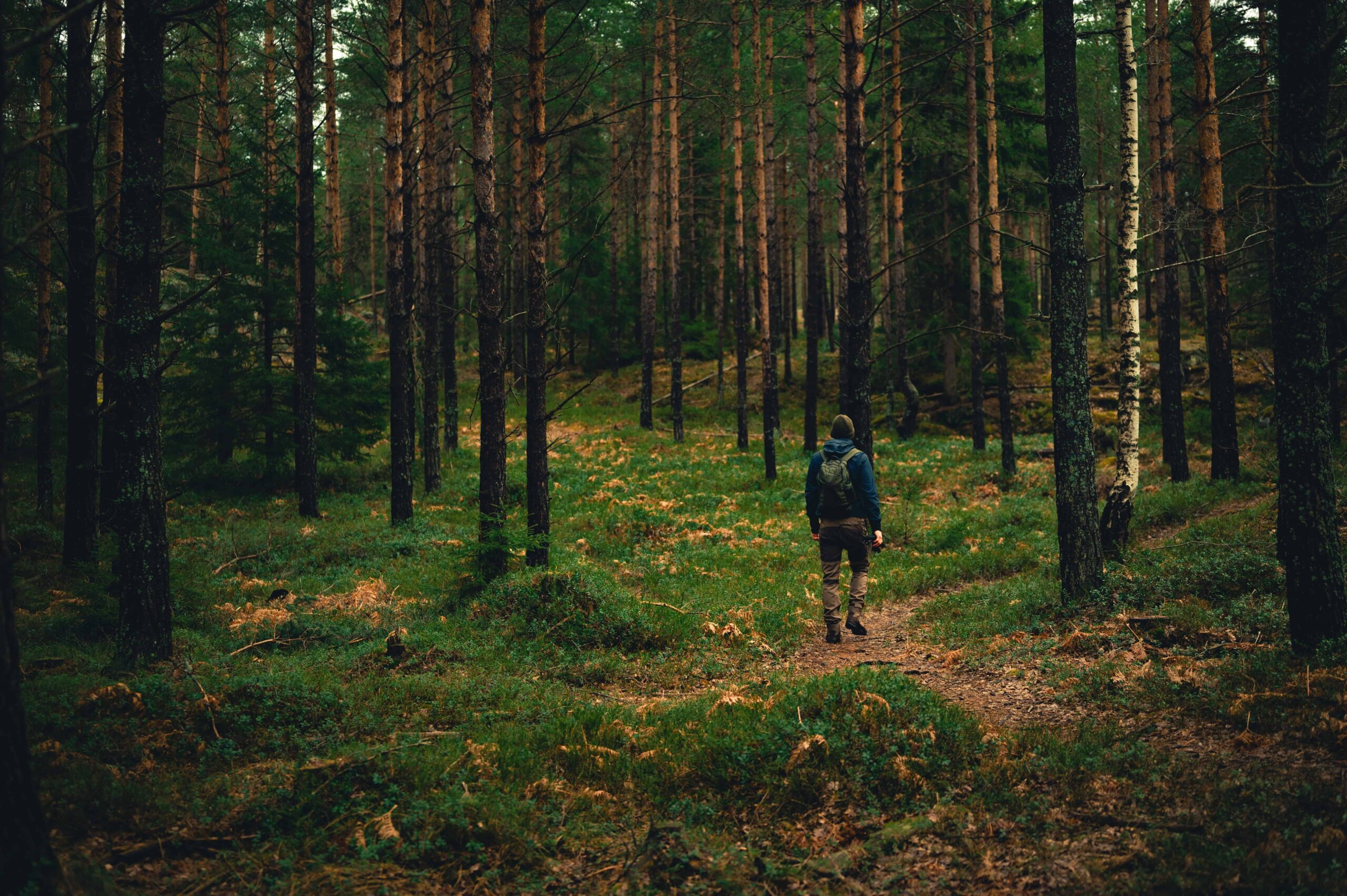 En mörkt klädd man i en skuggad skog