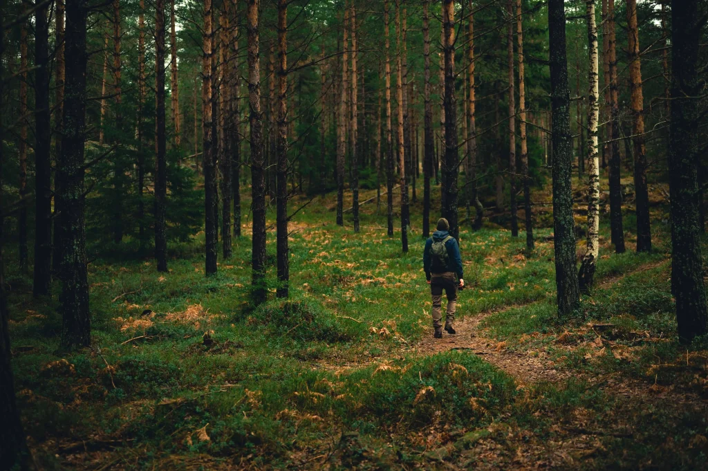 En mörkt klädd man i en skuggad skog - Skogsrådgivning